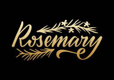 Paketler, ürün tasarımı, afiş, baharat dükkanı fiyat listeleri için biberiye harflerinin vektör çizimi. Web ya da yazdırmak için yapraklı ve çiçekli el yazısı sözcük