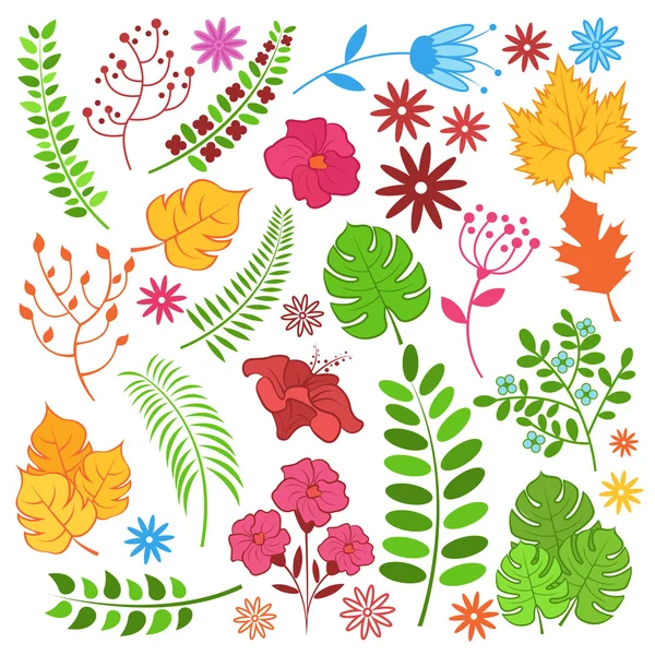 Floral set. Vector cartoon color illustration — Stock Vector