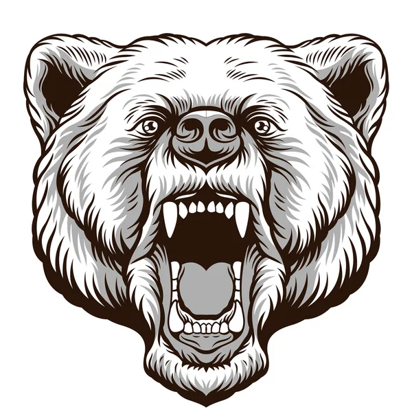 怒りのクマ頭。ベクターイラスト — ストックベクタ