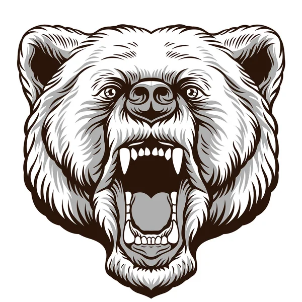 Tête d'ours en colère. Illustration vectorielle — Image vectorielle