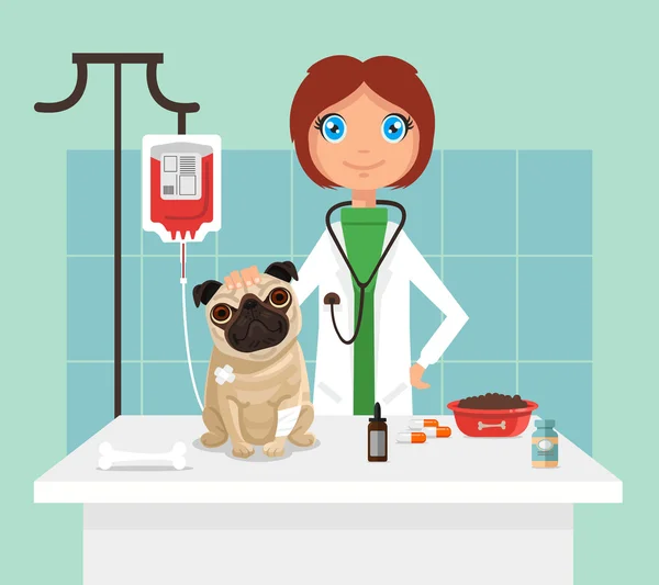Κτηνίατρος. VETOR επίπεδη απεικόνιση — Διανυσματικό Αρχείο
