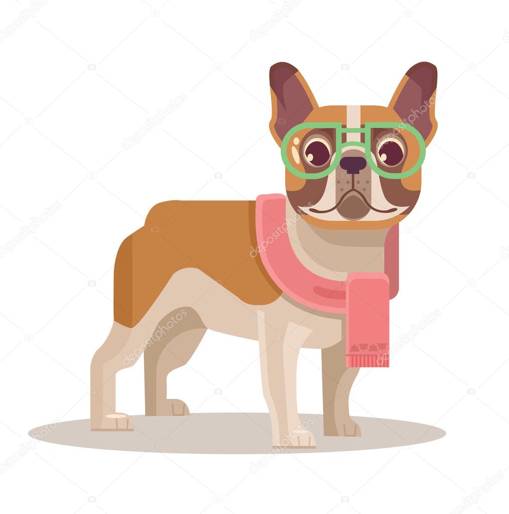French bulldog. Vector flat cartoon illustration