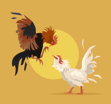 Two cocks fighting. Vector flat cartoon illustration clipart