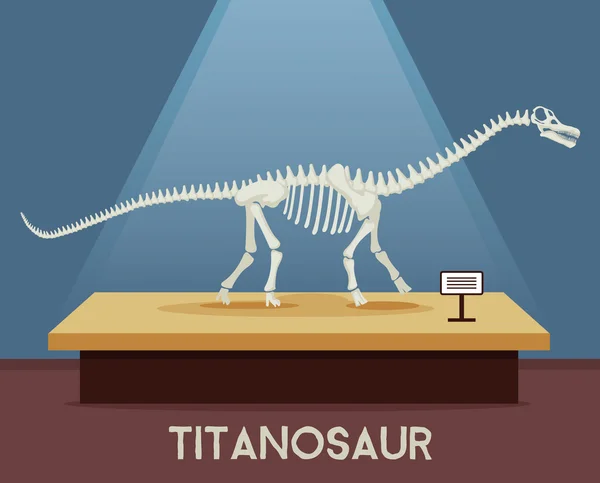 Скелет костей титанозавра в музейной экспозиции. Векторная плоская иллюстрация — стоковый вектор