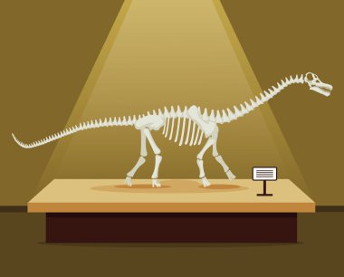 Not kemik iskeleti müze Sergisi. Vektör düz çizgi film illüstrasyon. Dinozorlar Müzesi