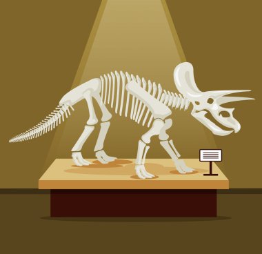 Triceratops kemik iskeleti müze Sergisi. Vektör düz çizgi film illüstrasyon. Dinozorlar Müzesi