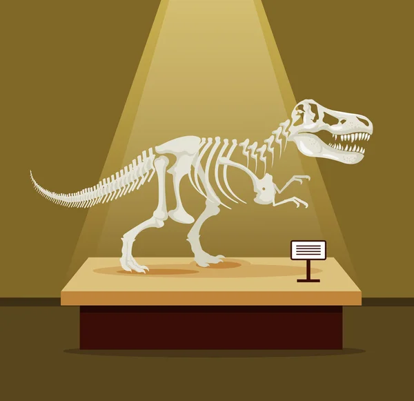 Tyrannosaur Rex botten skelet in museum tentoonstelling. Platte cartoon vectorillustratie. Dinosaurussen museum — Stockvector