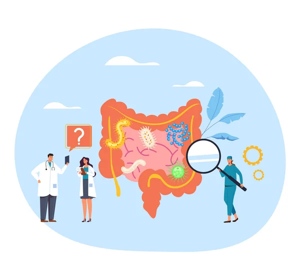 Intestines Diagnose Microflora Ziekte Onderzoek Gezondheidszorgconcept Vector Platte Grafische Vormgeving — Stockvector