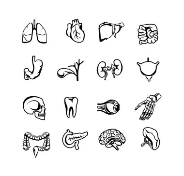 Hisse senedi vektör siluet siyah Icon set insan iç organlar