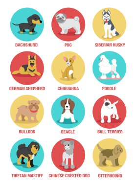 Vektör köpekler Icon set