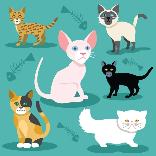 Conjunto de iconos planos para gatos vectores — Vector de stock