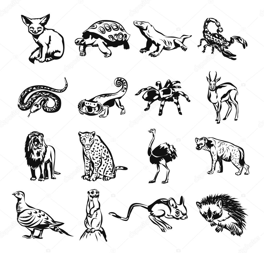 Desert animals vector black doodle outline pictogram icon set