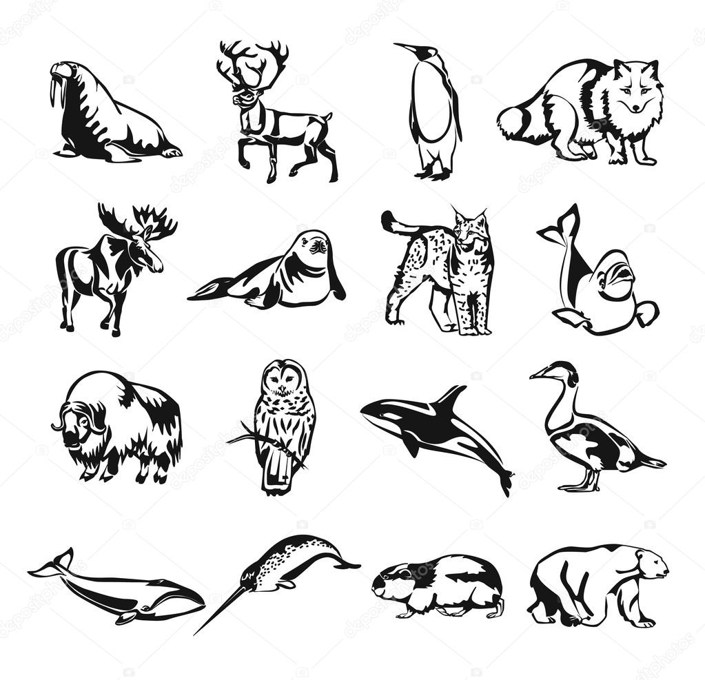 Northern animals vector black doodle outline pictogram icon set