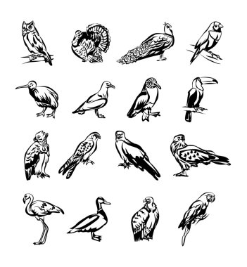Kuşlar siyah doodle Icon set vektör
