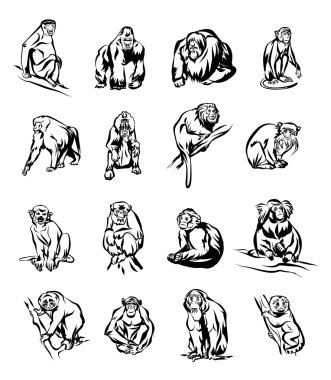 Siyah maymun Icon set