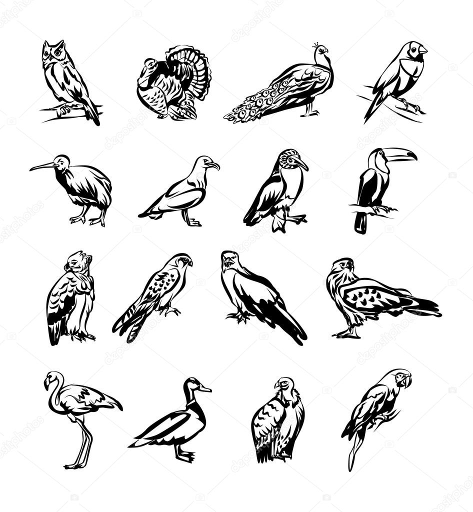 Birds vector black doodle icon set