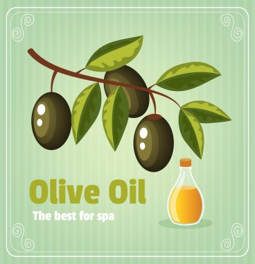 Vektör zeytin dalı afiş