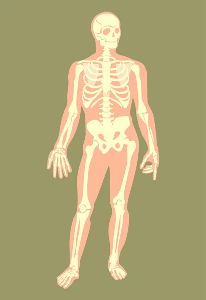 Skeleton platte vectorillustratie — Stockvector