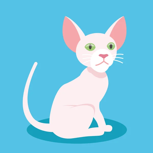 Bonito esfinge gato mascote vetor ilustração — Vetor de Stock