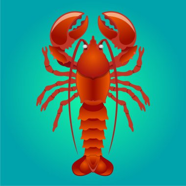 Vektör ıstakoz çizim