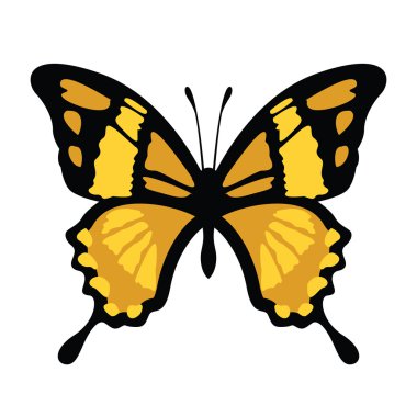 vektör kelebek çizimi