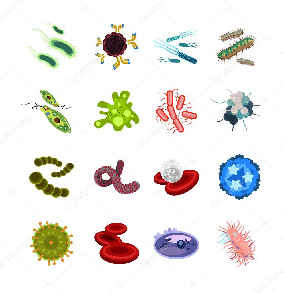 Vector bacteria isolated icon set