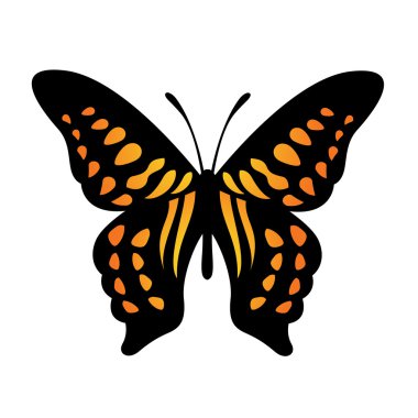 vektör kelebek çizimi