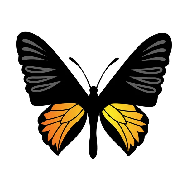 Vector mariposa ilustración — Vector de stock