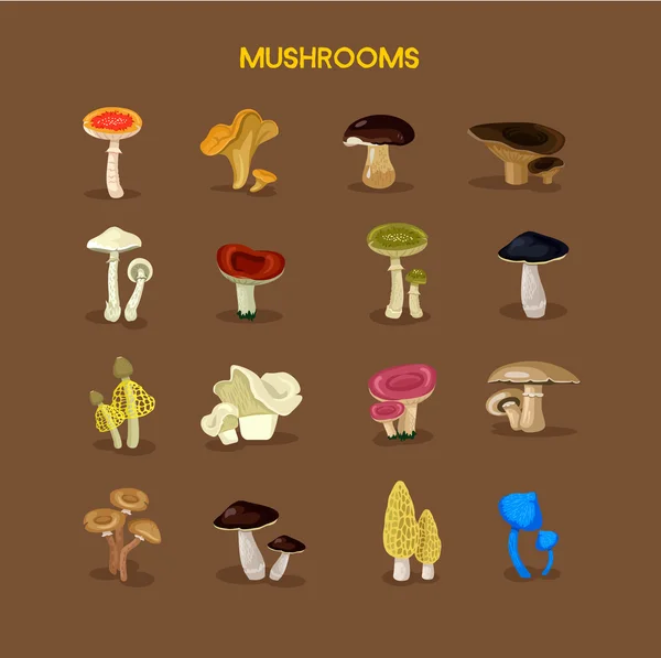 Mushrooms flat icon set — Stock Vector