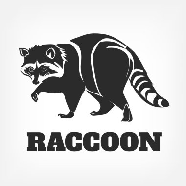 Vektör Rakun siyah çizim