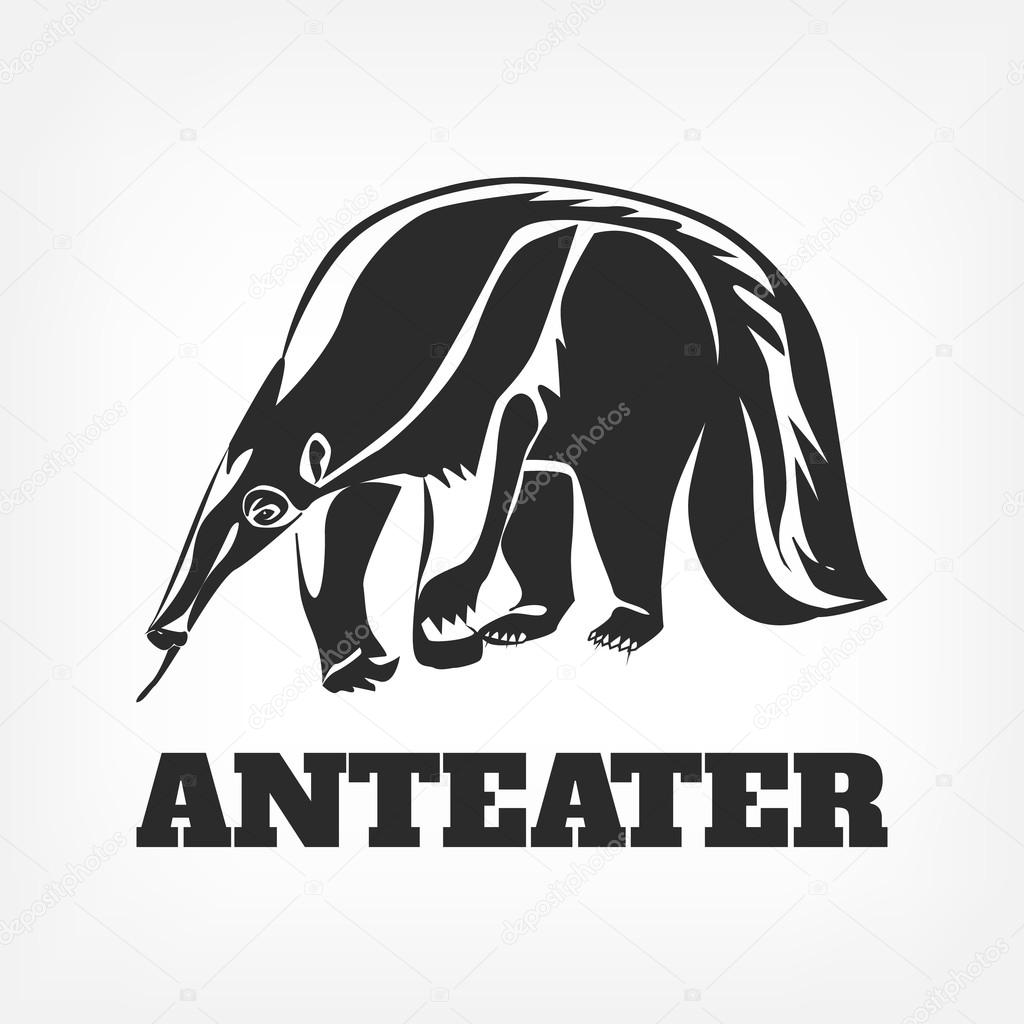 Anteater. Vector black illustration