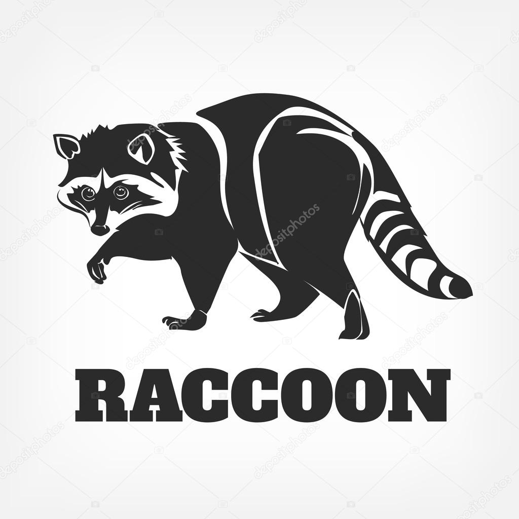 Vector raccoon black illustration