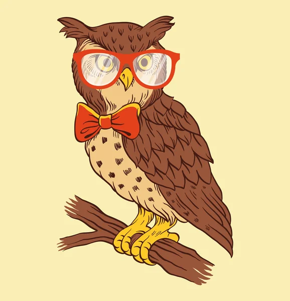 Illustration vectorielle de hibou dessinée à la main — Image vectorielle