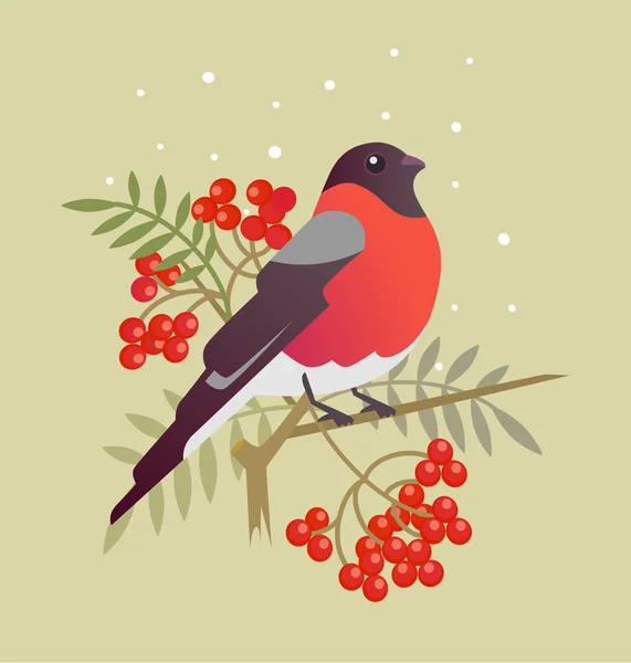 Pájaro de Navidad. ilustración de arte de dibujos animados vectorial — Vector de stock