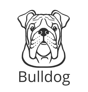 Bulldog siyah vektör simge logo tasarlamak