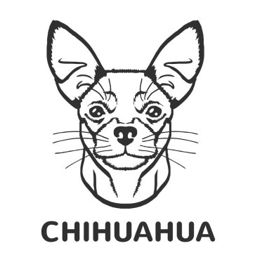 Chihuahua vektör siyah logo simge tasarlamak