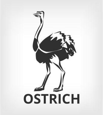 Devekuşu siyah simge logo tasarlamak vektör