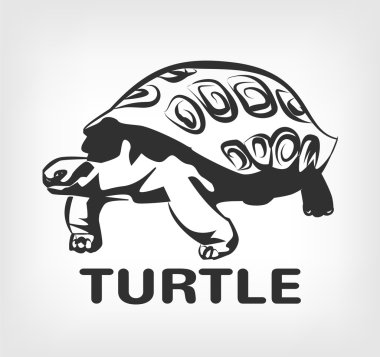 Turtle vector black icon logo illustration clipart