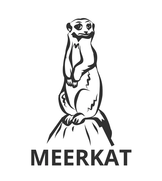 Meerkats vektor svart icon logo illustration — Stock vektor