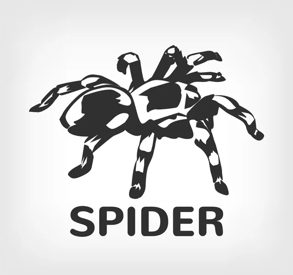 Ilustración del logotipo de Spider vector negro icono — Vector de stock