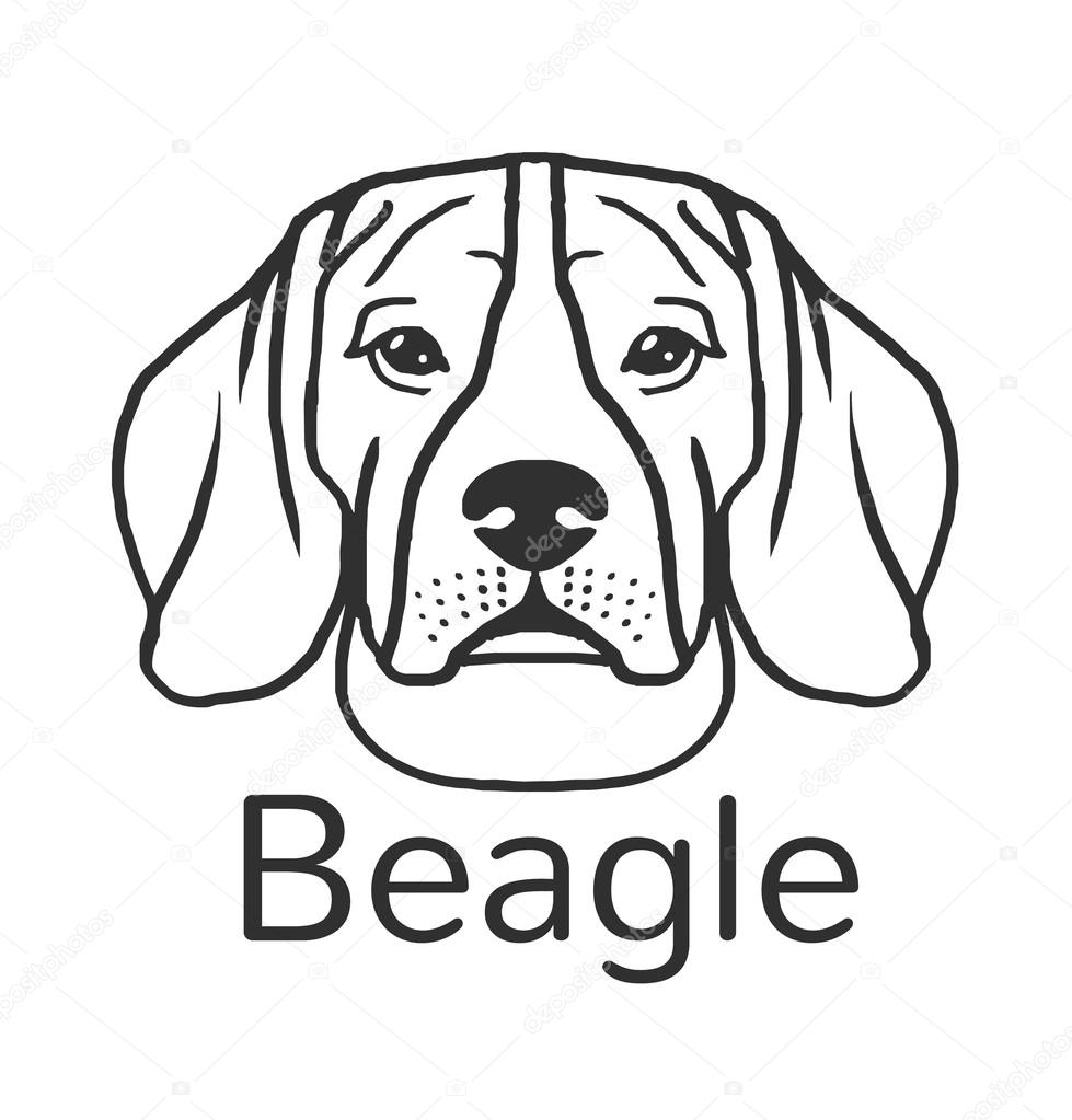 Beagle dog. Vector black icon illustration