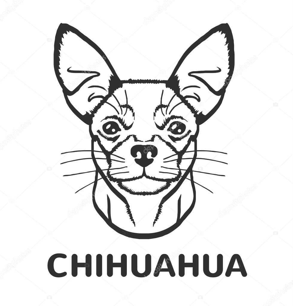 Chihuahua vector black logo icon illustration