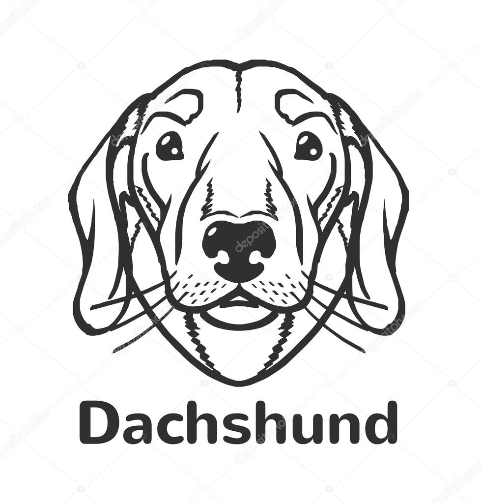 Dachshund vector black icon logo illustration