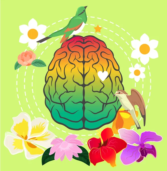 Cerveau créatif. Illustration vectorielle — Image vectorielle