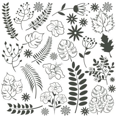 Vektör çiçek ayarlayın. Siyah vektör çizim