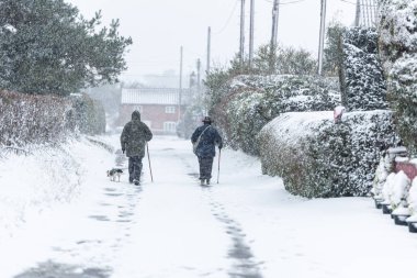 Kar fırtınası sırasında bir çift köpeğini gezdirir. 2021 'in doğusundaki canavar. Aşırı hava