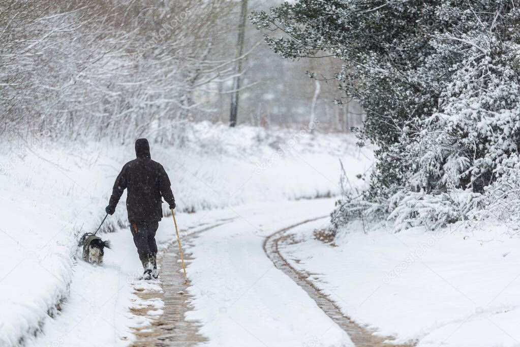 A man walks his dog during a snowstorm blizzard. Beast from the east 2021. Extreme weather