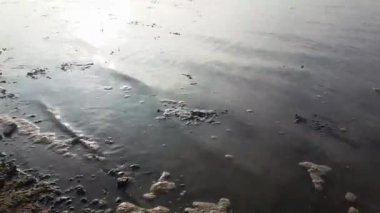 Nehir kıyısında dalgaları göstererek yavaşça yukarı doğru eğil ve Deben nehrinin üzerinden Sufolk 'u ziyaret et.