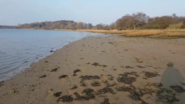 First Person View Pov Walking Beach Unknown Male Shadow Foreground — Stock Video