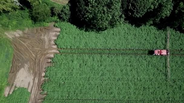 Drone Aéreo Tiro Máquinas Agrícolas Pulverizando Campos Agrícolas Zona Rural — Vídeo de Stock